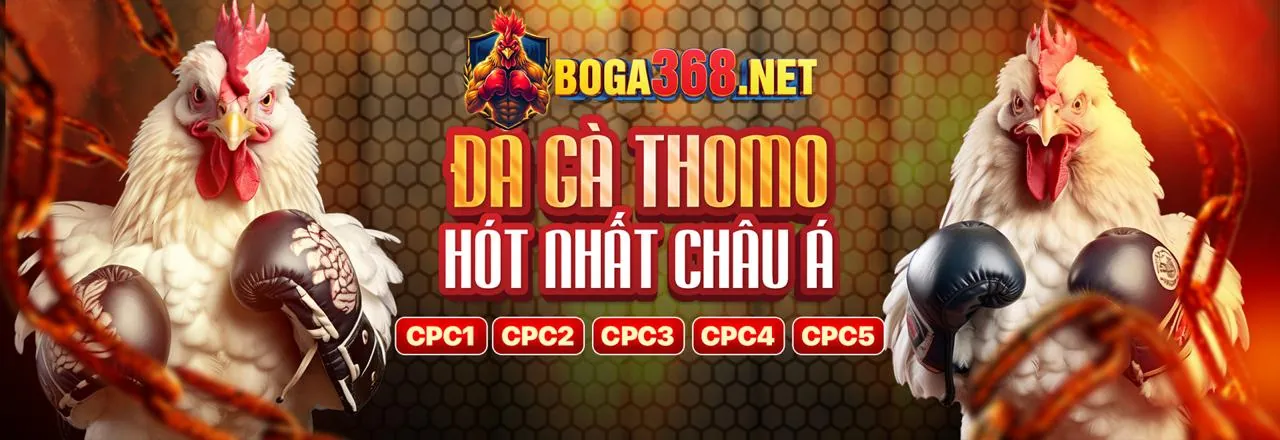 Hình ảnh minh họa Tuân thủ GDPR và bảo vệ dữ liệu tại 6ff Nổ Hũ